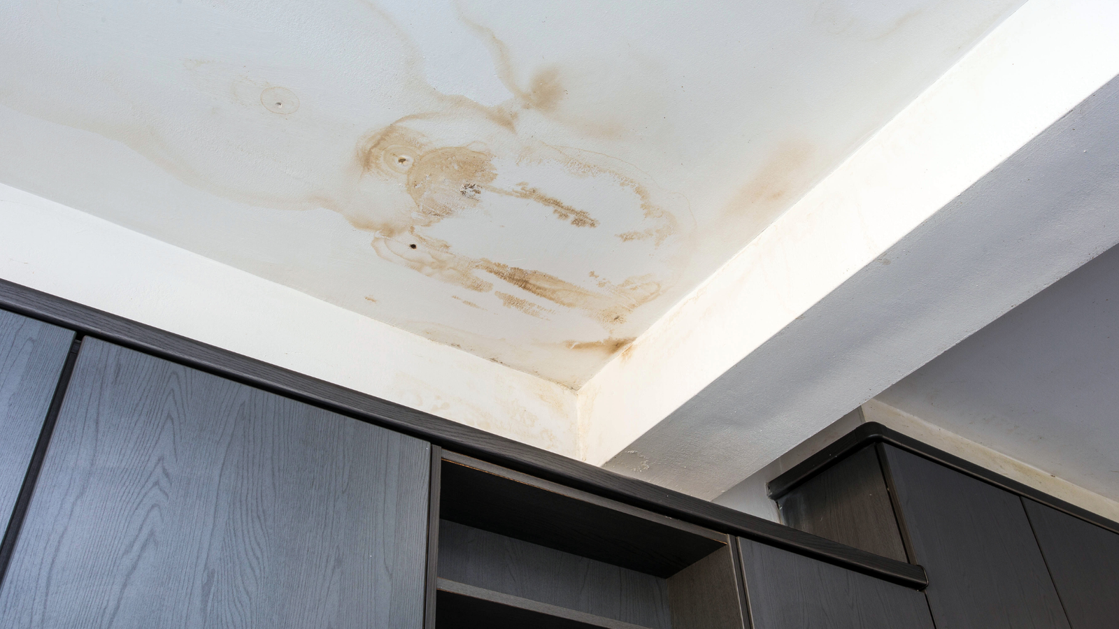 Roof Leak