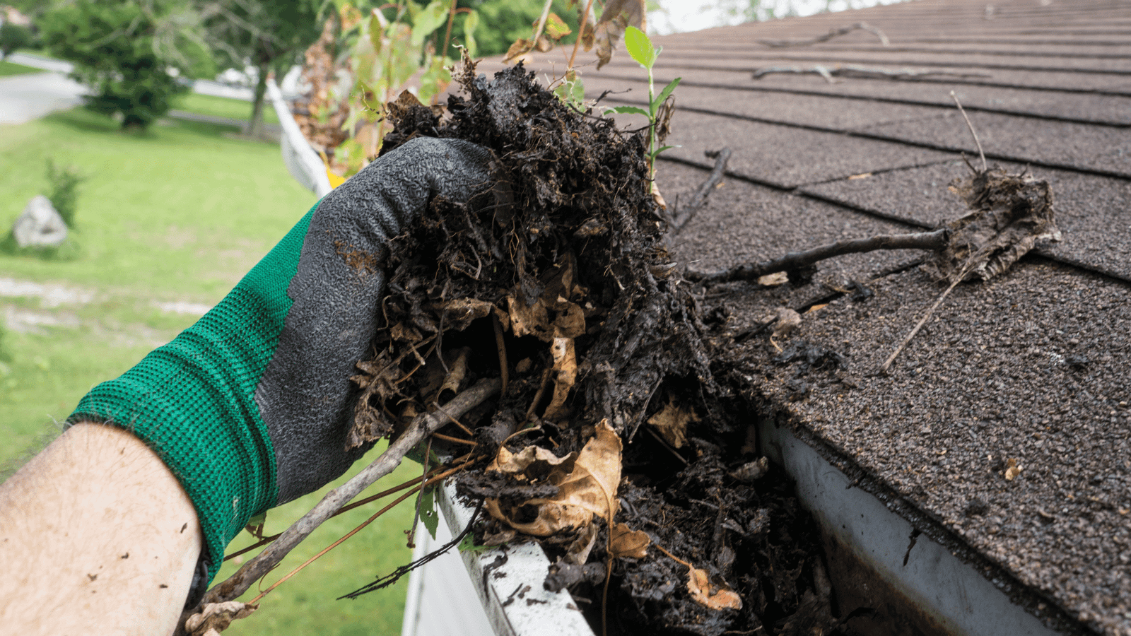 Professional Gutter Cleaning in Bridgewater, MA