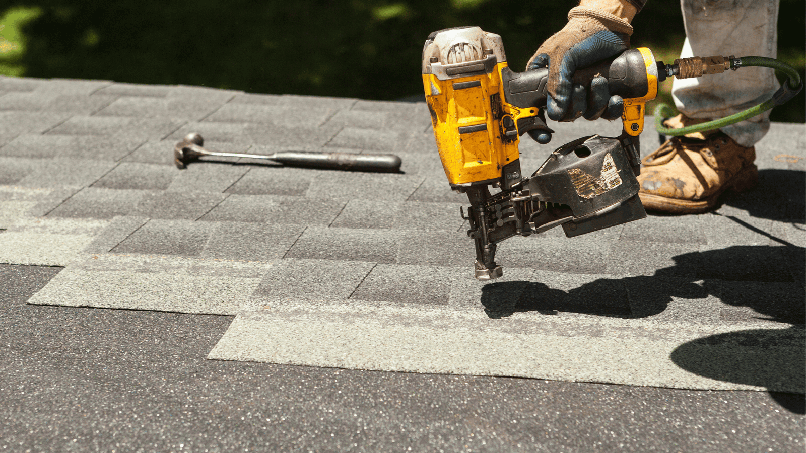 Shingle Roof Replacement