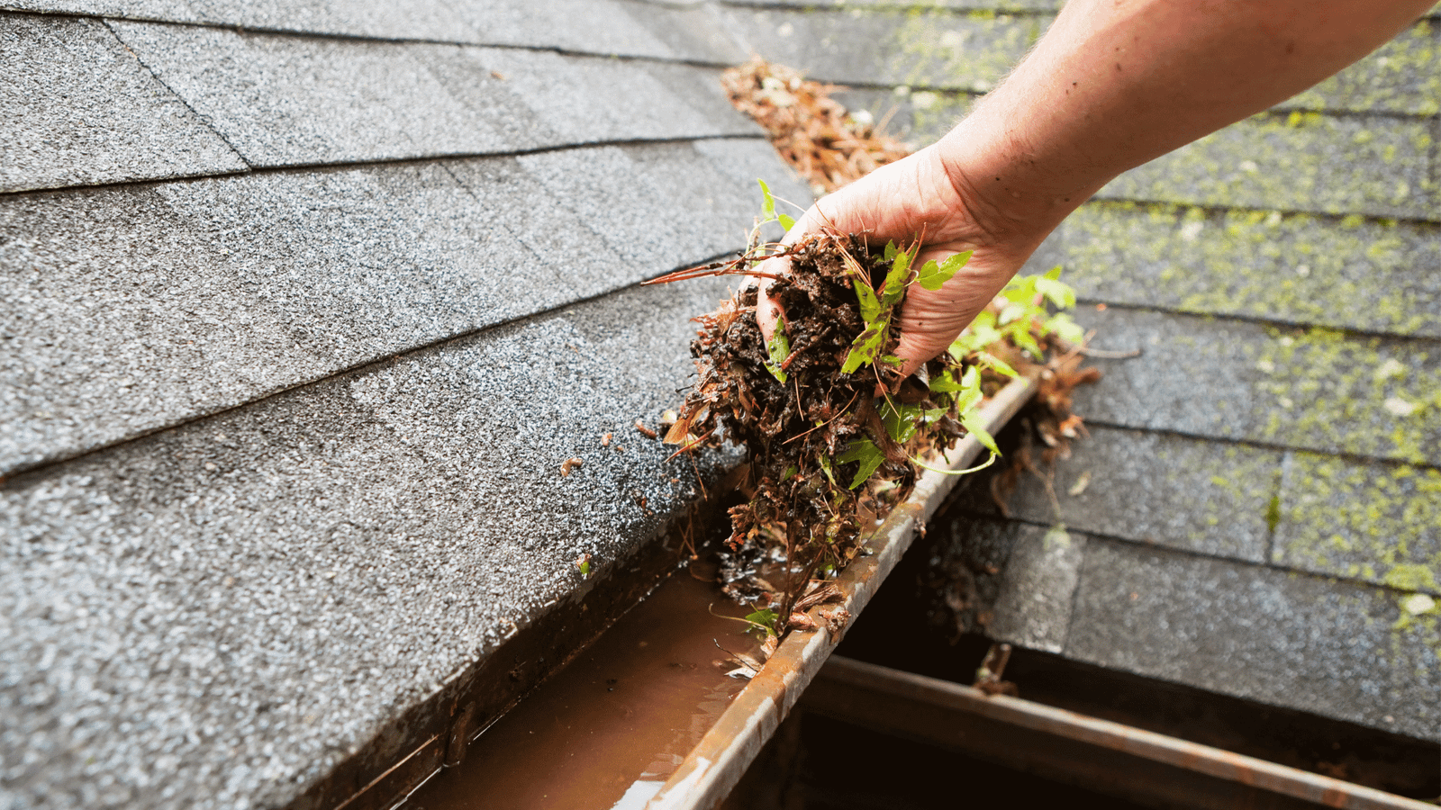 Residential Gutter Cleaning