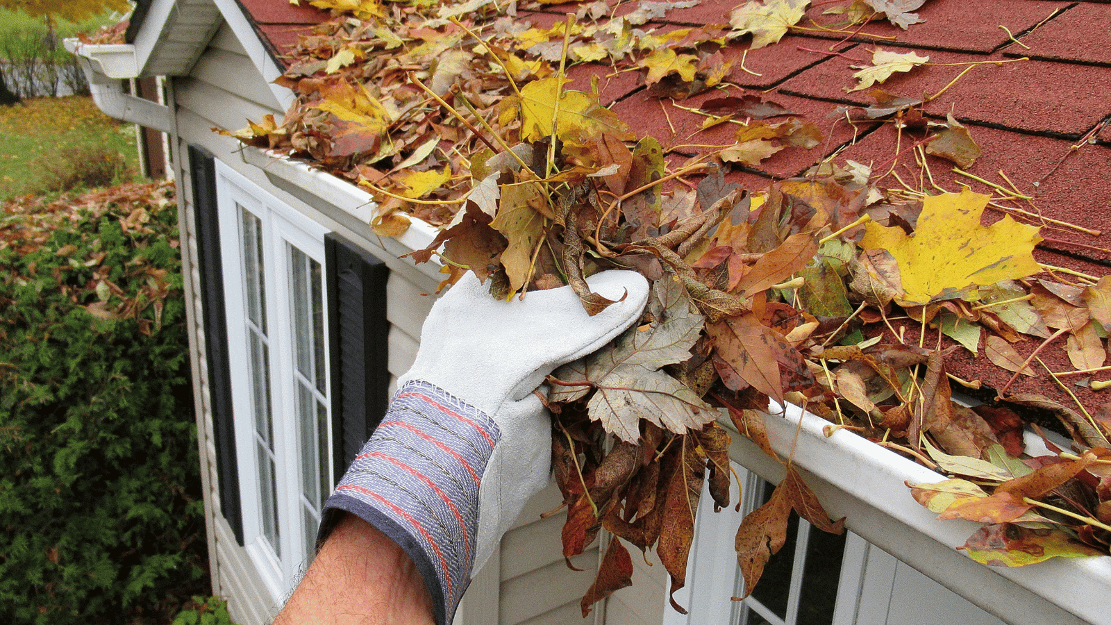 Debris Removal