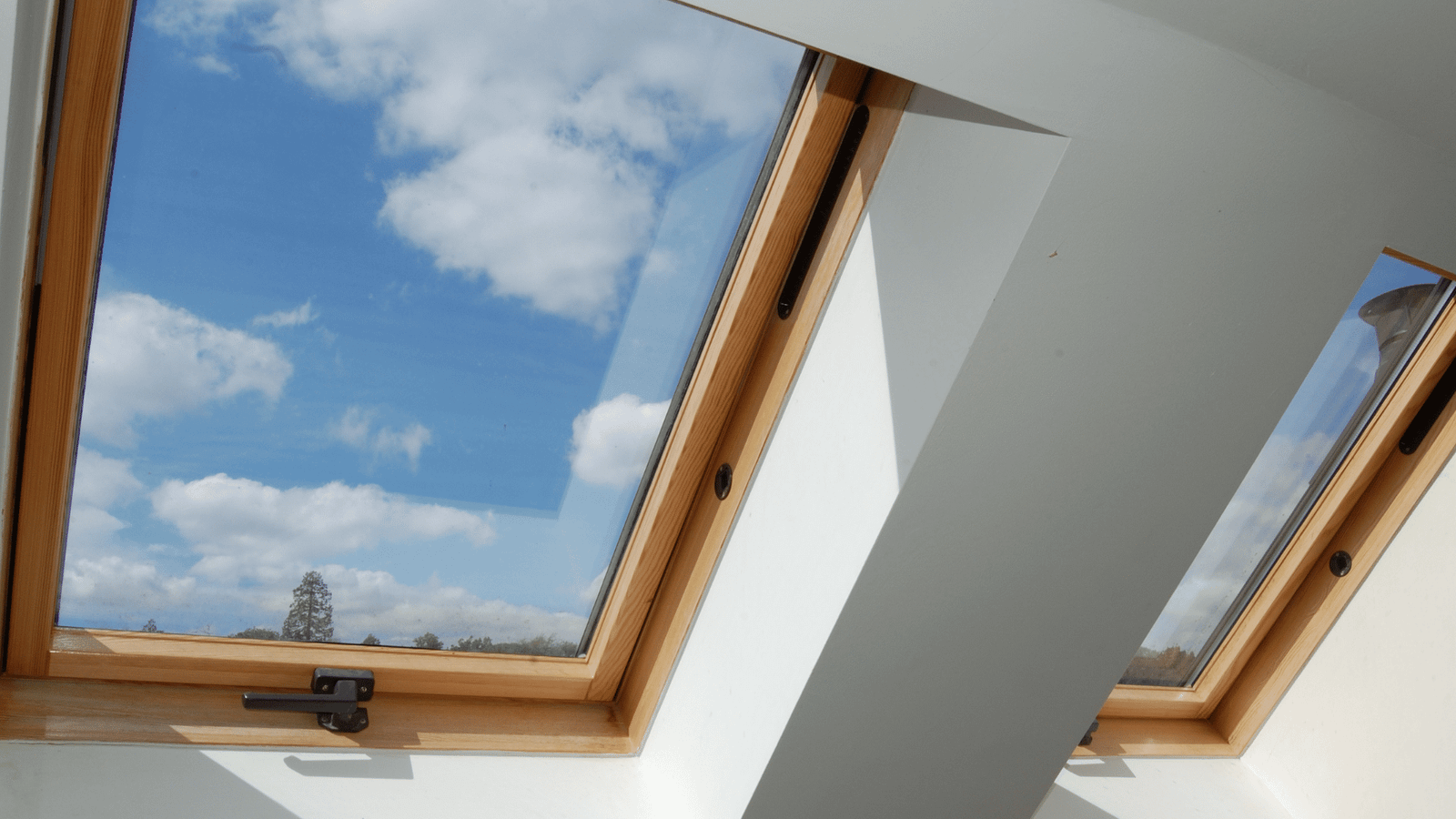 Skylight Repair